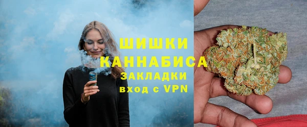 PSILOCYBIN Армянск