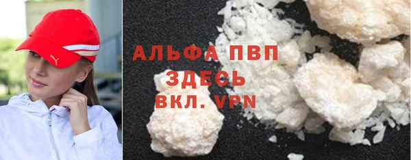 PSILOCYBIN Армянск