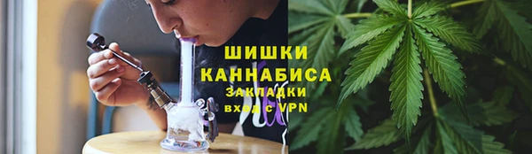PSILOCYBIN Армянск